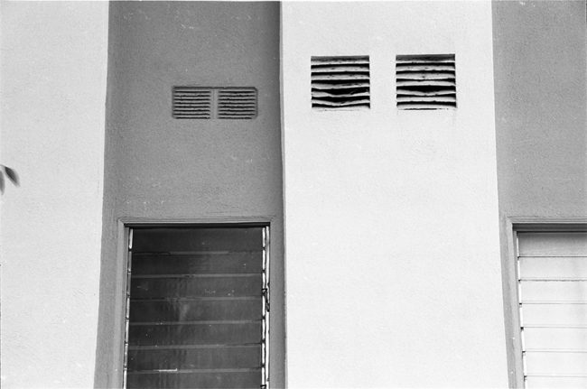 Louvered windows and leaf