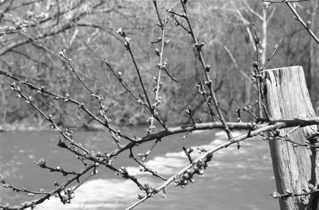 early spring, Shenandoah River