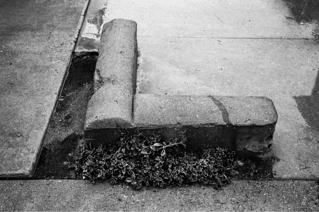 VDM sidewalk L shape rain