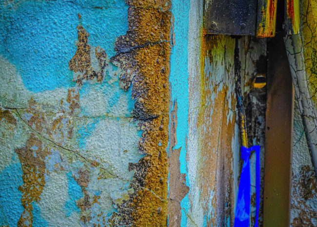 Burn Zone: Scottwood Blue